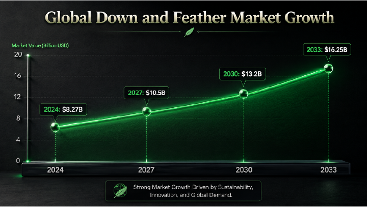 Global Down and Feather Market growth projection chart showing valuation rising from $8.27 billion in 2024 to $16.25 billion by 2033