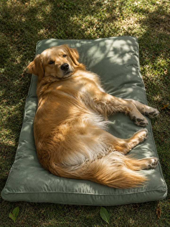 A golden retriever dog relaxing on a large, plush sage green pet bed filled with 100% natural feathers instead of synthetic fiber.