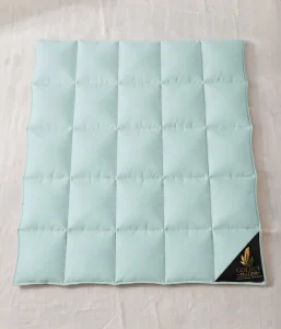 Arctic Mint 0-2 Years Baby Down Alternative Comforter by Golden Feather